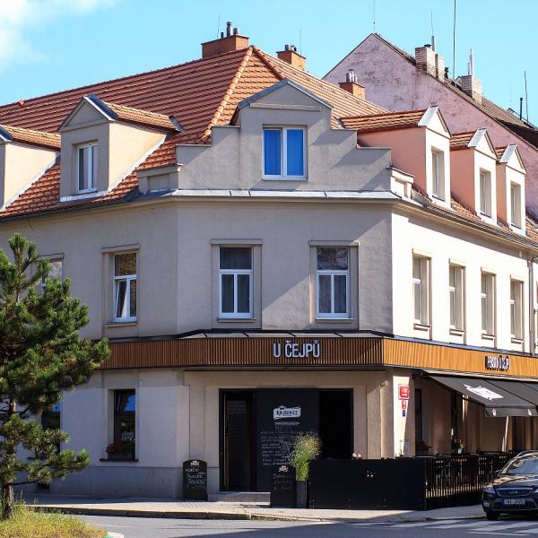 obrázek